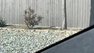 Tesla Model S windshield distortion (part 1)