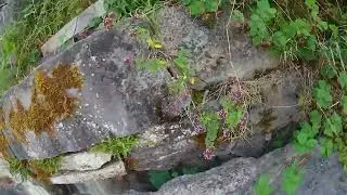 Maizeret BE Via ferrata