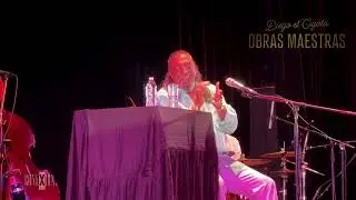 Diego el Cigala 