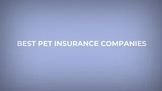 Best Pet Insurance Companies