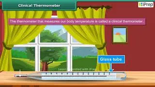 Measuring Temperature - Clinical Thermometer | Temperature and its Measurement | Science | Class 6