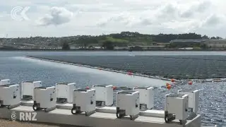 NZ's largest floating solar array catching the sun in Auckland