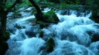 Perica Simonović - Timočki brzak