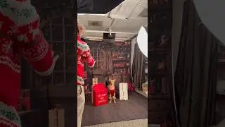 Rescue puppy gets a photo shoot