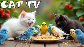 (NO ADS) 4K HDR CAT TV 😻 Curious Energetic Birds Hide Nuts For Long Winter 🦜❄️ Bird Chirping Sounds