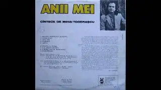 Anastasia Lazariuc (Анастасия Лазарюк) - Floriile (synth disco, Romania, 1991)