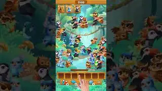 Bird Triple Match | Gameplay 6