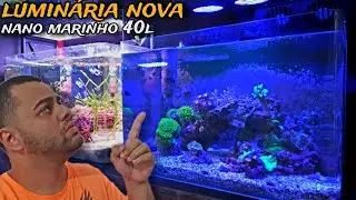 TROQUEI A LUMINÁRIA DO NANO MARINHO DE 40L