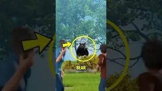 What to do during BEAR ATTACK