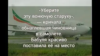 Уберите эту вонючую старуху... #нескучныеистории #шпицМалыш #аудиорассказ #любовныеистории