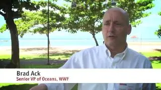 Global Mangrove Alliance Announced at World Ocean Summit