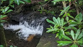 Pilot Cove and Slate Rock trail, Health Scare, Making it back out To Car