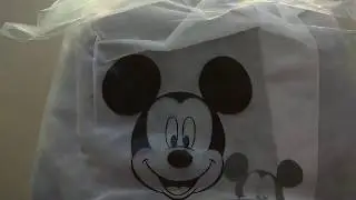 Disney Mummy Bag