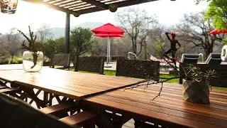 Dzombo Lodge, a luxury safari destination, nestled in the Pilanesberg National Park.