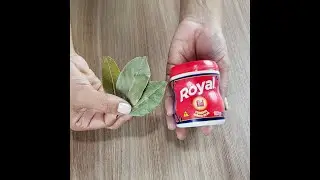 Las hormigas y las cucarachas desaparecen con este truco que aprend&iacute;!