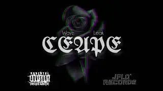CAEPE wayz x Leak (2G Hoods)