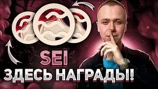 SEI | Тестнет с наградами | testnet sei network | тестнет как заработать
