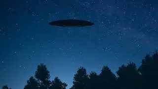 Alien Squawk Echo