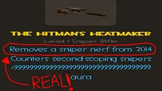 (TF2) The Hidden Hitman's Heatmaker Stat No One Talks About