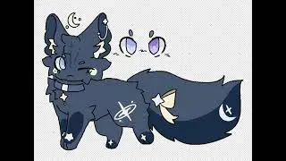 CUSTOM ;0