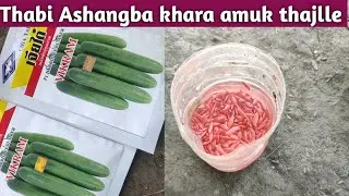 Thabi Ashangba amuk thaba houre|| Kangkhulda direct maru happe, Manipur