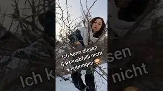 🤎Totholzhaufen f&uuml;r Tiere🦔🐞(und Pilze) #totholz #naturgarten #natur #pov
