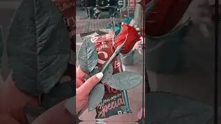 Happy 🍫💫 Chocolate Day 2026 🌺🥰 || 💞🍩 Chocolate Day 🌹😘 Whatsapp Status || 9 February
