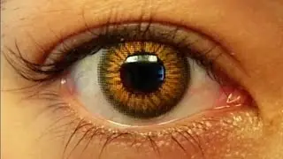 Change Your Eye Color to Light Brown―∎𝘢𝘶𝘥𝘪𝘰 𝘢𝘧𝘧𝘪𝘳𝘮𝘢𝘵𝘪𝘰𝘯𝘴