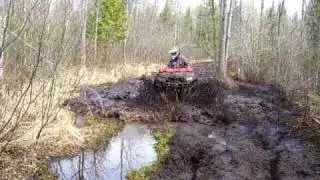 MUD BUDs