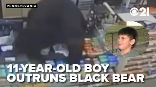 RUN: Black bear chases 11-year-old boy into Family Dollar store