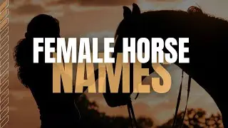 Female Horse Names