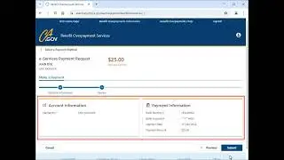 Benefit Overpayment Services: Make a Payment