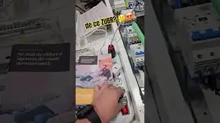 de ce ZUBR? 🤔😍 #zubr #volt #electrician #tensiune #protectii #smarthome #smarthome360