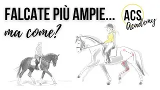 Come rendere le falcate più ampie 🐴