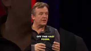 Insane Fact Revealed  The Surprising Solution to Fossil Fuel Dependency