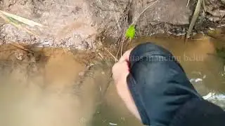 Mancing belut besar, sampai lemas tak berdaya#tarikan kuat