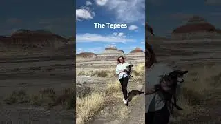 3 Things to Do in Petrified Forest National Park