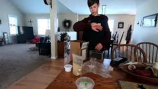 How to get food for you reptile when you can't leave the house