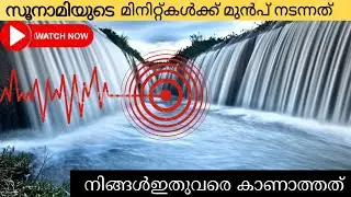 സുനാമിയുടെ മിനിറ്റ്കൾക്ക്  മുമ്പ് നടന്നത് #tsunami #trending#viral #rain ##2004