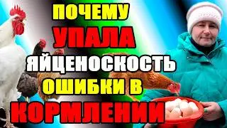 Почему УПАЛА яйценоскость, ведь СКОРО весна?