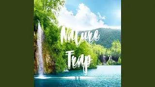 Nature Trap