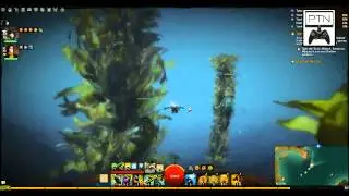 PTN - Toxic Krait Historian - Sparkfly Fen - Tower of Nightmares - GW2