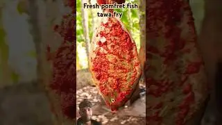 Fresh pomfret fish tawa fry #howtomakefishfry #f #fishfry #viralshorts