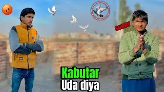 Usman ne kabutar uda diya 😡 