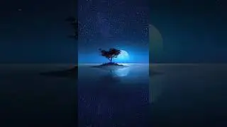 🌙Night calming music for sleep 😴 relaxing music sleepbackground😊 by gentle Calmness 💫