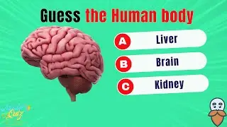 How Many Human Body do You know ? 🧠🦴🦵 | General Knowledge test