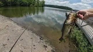 Catching a tank at Burke Lake Park