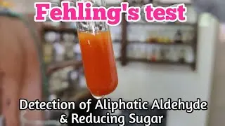 Fehling's test of Glucose || Preparation of Fehling-A & B Solution
