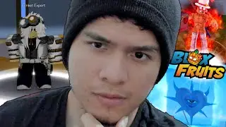 MA&Ntilde;ANA 🤫... | Blox Fruits + PvPs | Roblox (Dungeons + Revisando Perfiles)