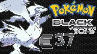 Let's Play| Pokemon Black (BLIND)  - EP37 Elite 4 Shauntal